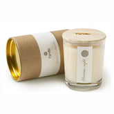 Summer Night Scented Candle