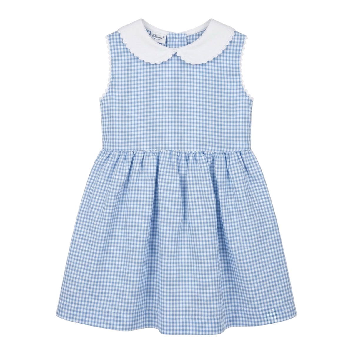 Blue Checkered Dress