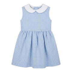 Blue Checkered Dress