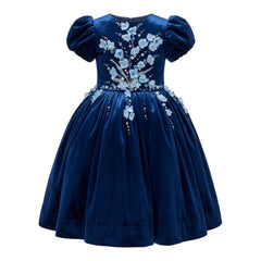 Blue Velvet Dress