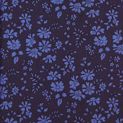 Capel Indigo Liberty Bib