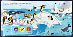 First Explore Sea Creatures - A Push, Pull, Slide Book