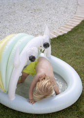 Kiddy Pool Monty The Monster