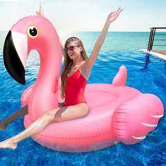 Ride-On Float Flamingo