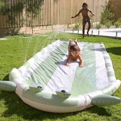 Slip and Slide  Shark Tribe